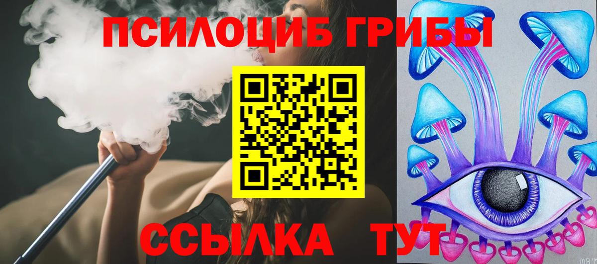 Новотроицк  Псилоцибиновые грибы GOLDEN TEACHER  Псилоцибиновые грибы Psilocybine cubensis  Вход с VPN 